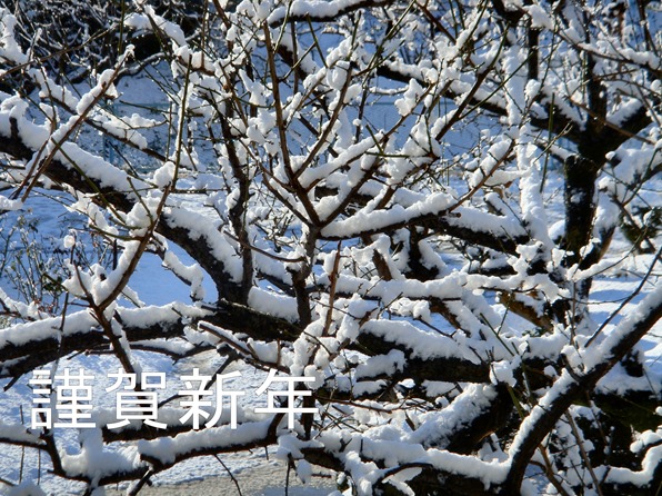 謹賀新年２０１５
